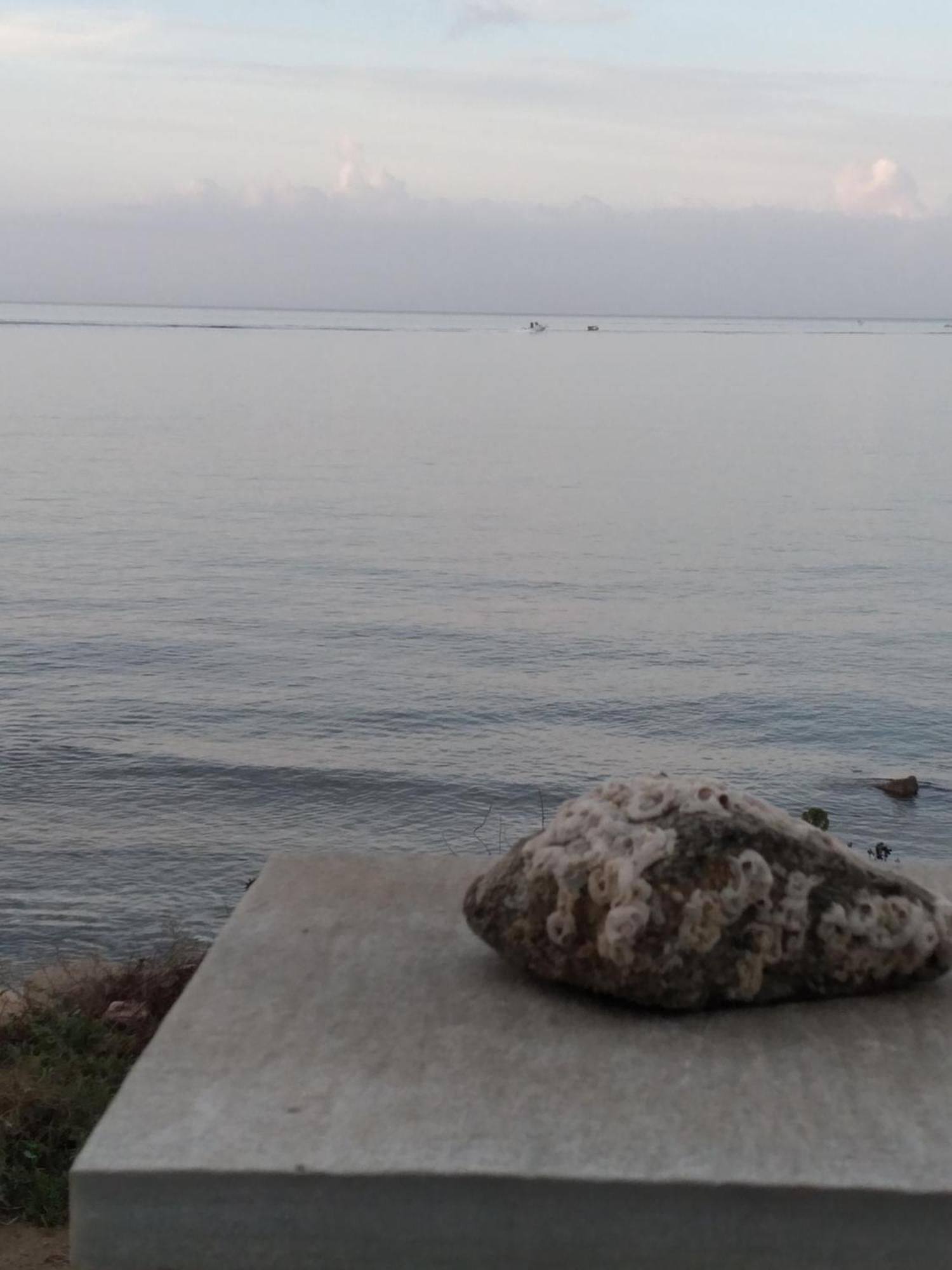 Albatross Seafront House Apartamento Naxos City Exterior foto